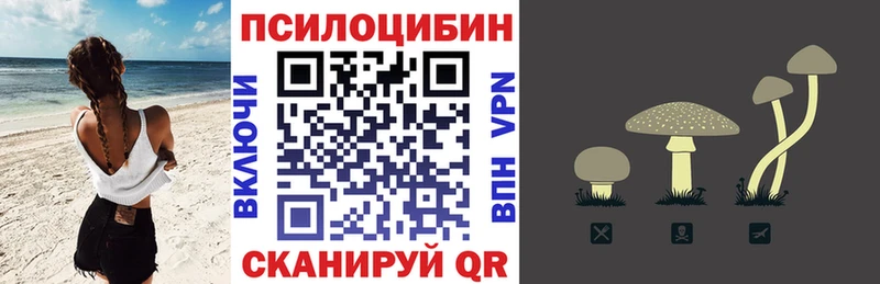 Галлюциногенные грибы Psilocybe  omg зеркало  Белореченск 
