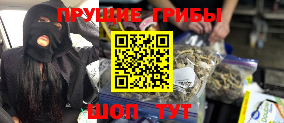 Белореченск  где купить   Вход с VPN  Псилоцибиновые грибы прущие грибы 